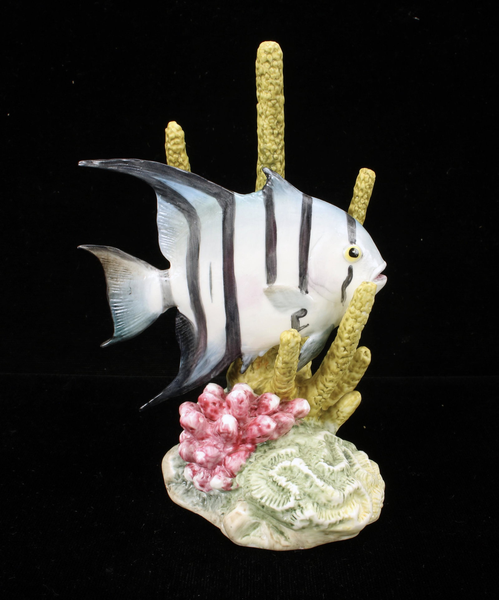 ROYAL WORCESTER BONE CHINA SPADE FISH: ROYAL WORCESTER BONE CHINA SPADE FISH Spade fish among coral. Model number 3579. By Ronald Van Ruyckevelt. 5 1/2" X 3 1/2" X 2 1/2"
