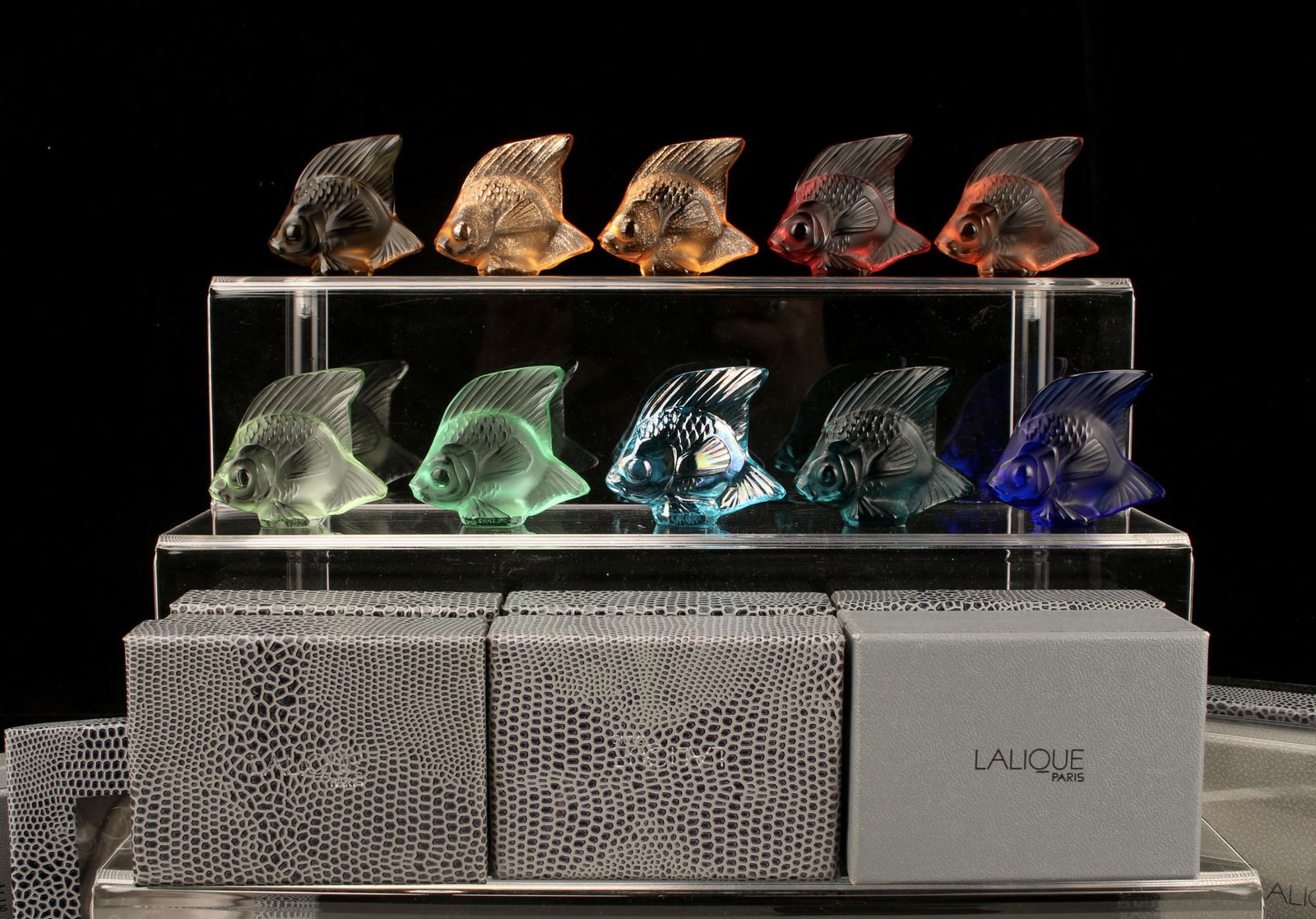 TEN COLORFUL LALIQUE CRYSTAL FISH IN BOX (1 of 6)