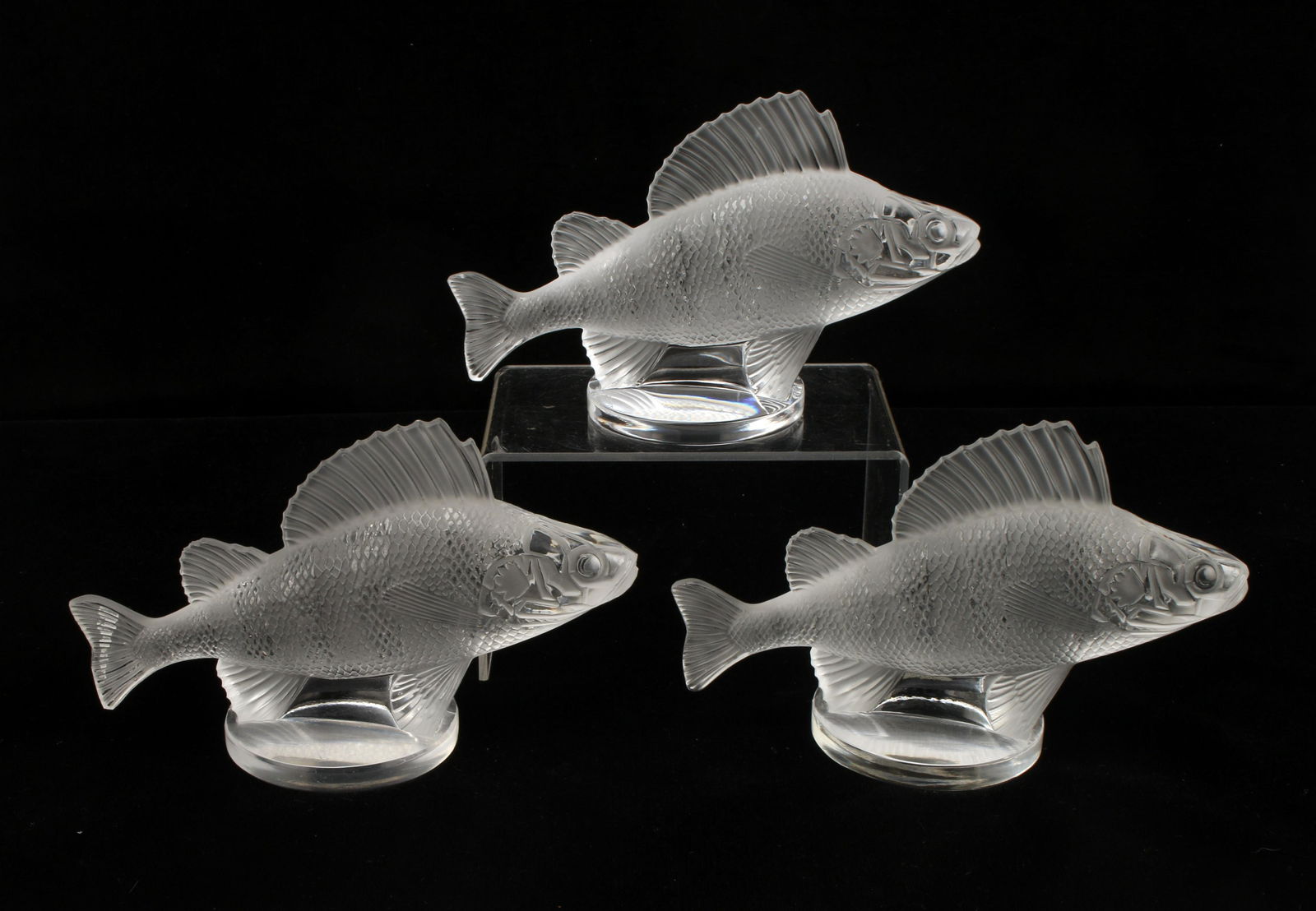 3 LALIQUE PERCHE FROSTED GLASS FISH PAPERWEIGHTS (1 of 4)