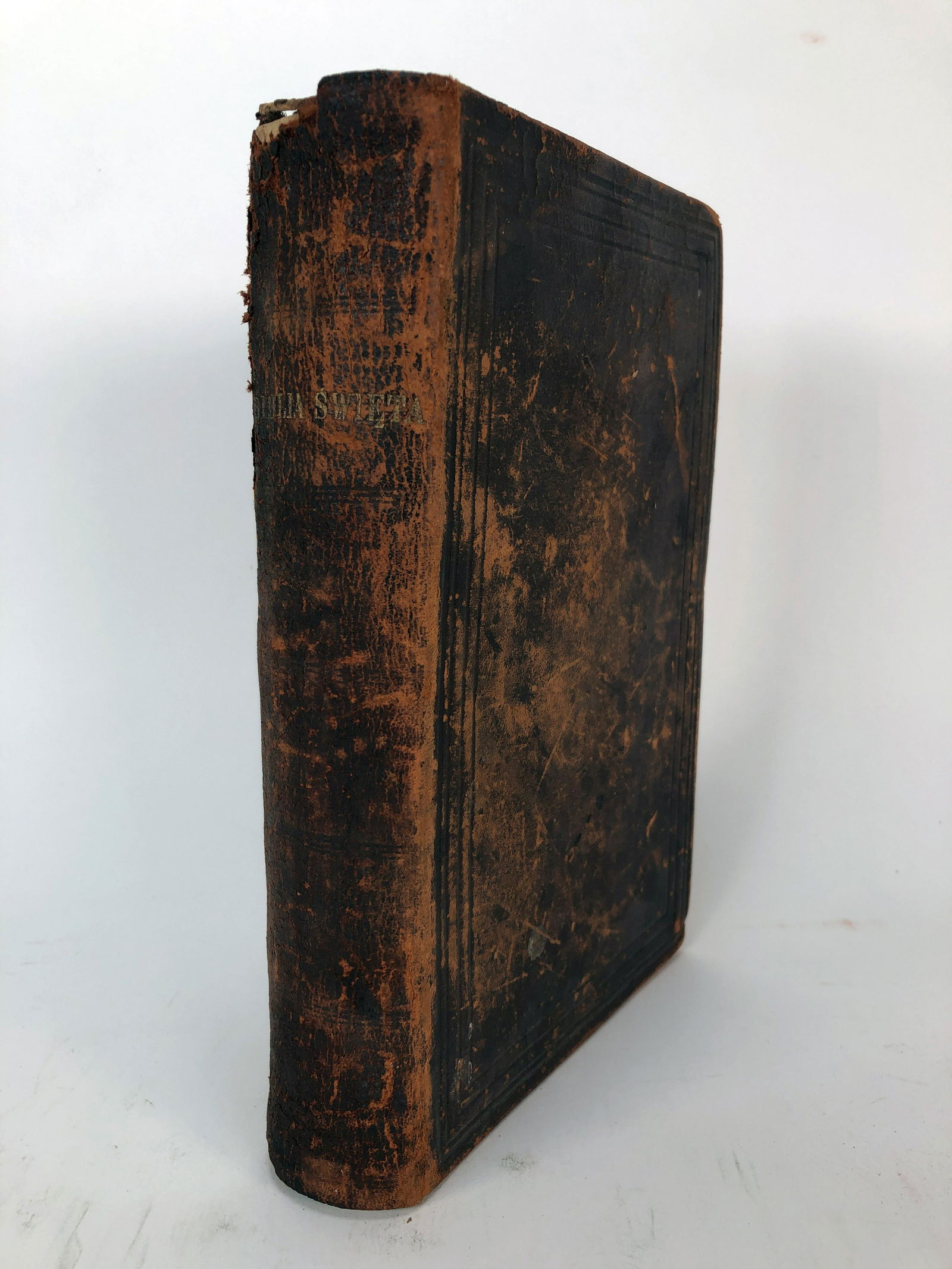 1890 POLISH BIBLE (1 of 6)