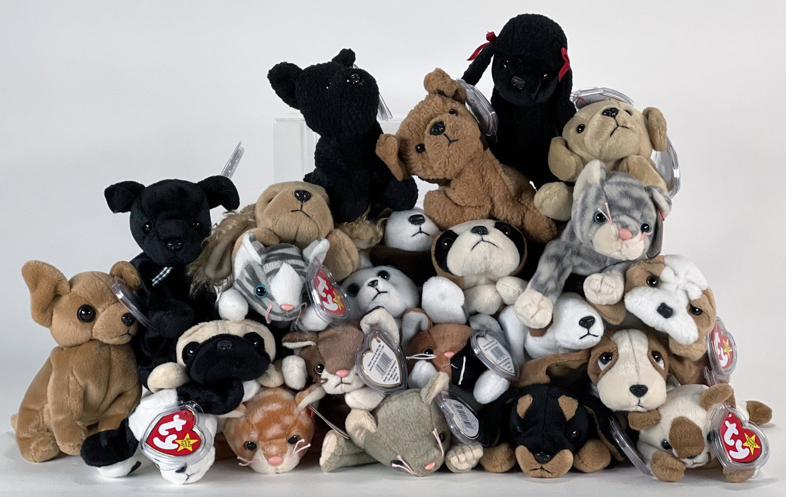 BEANIE BABIES CATS AND DOGS: BEANIE BABIES CATS AND DOGS Get out your umbrella, it's raining cats and dogs in this lot. Don't step in that poodle!! 9 1/4" x 5"