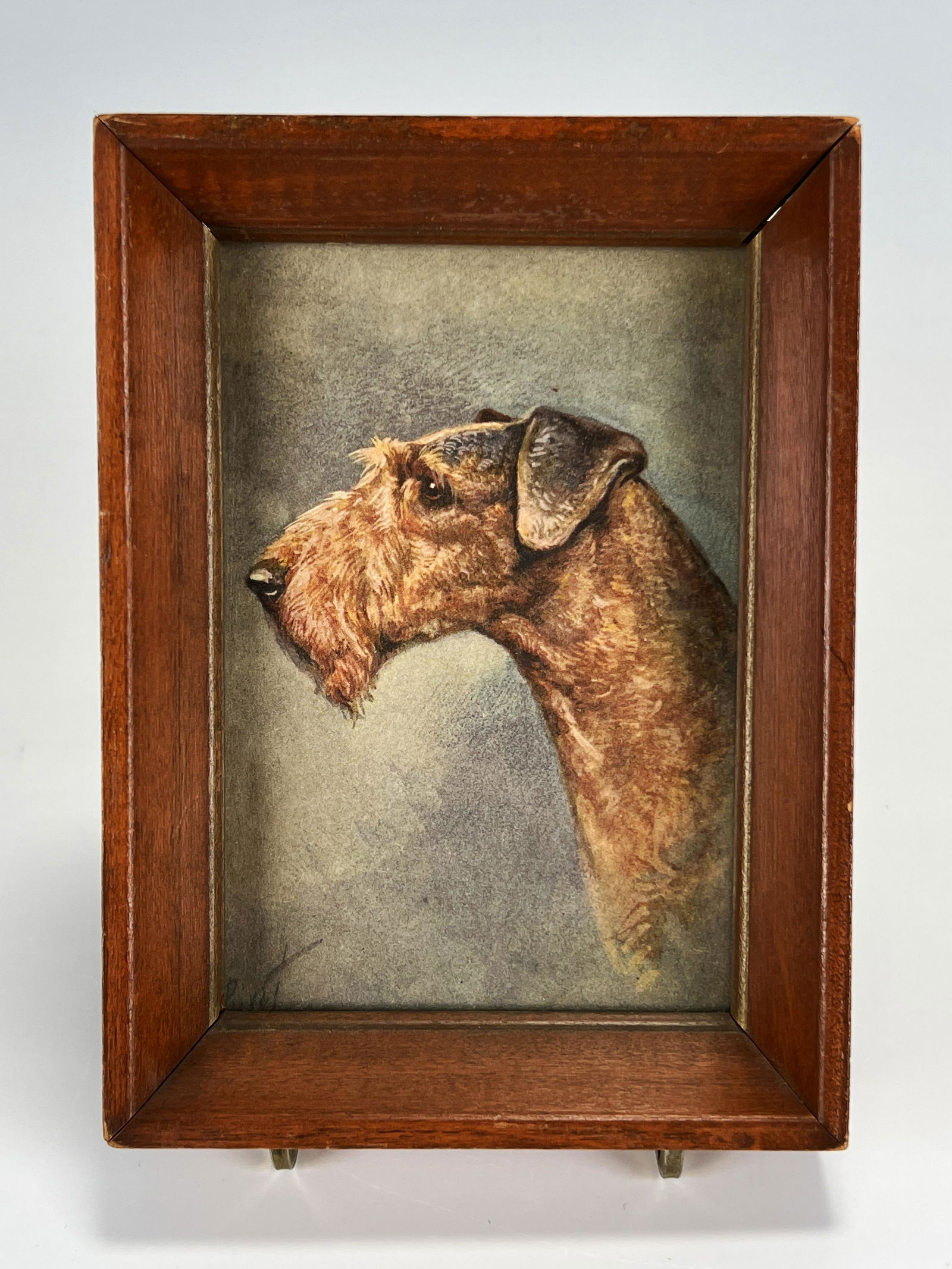 VINTAGE AIREDALE TERRIER PRINT (1 of 4)