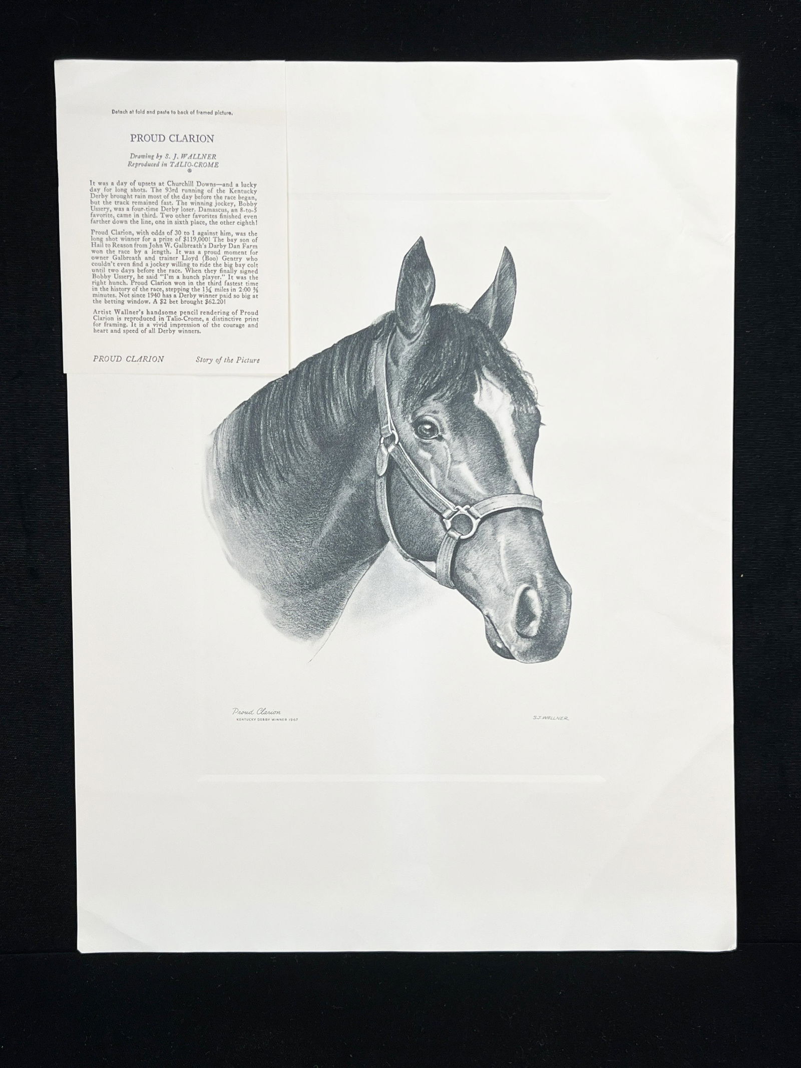 PROUD CLARION WINNER OF 93RD KENTUCKY DERBY (1 of 5)