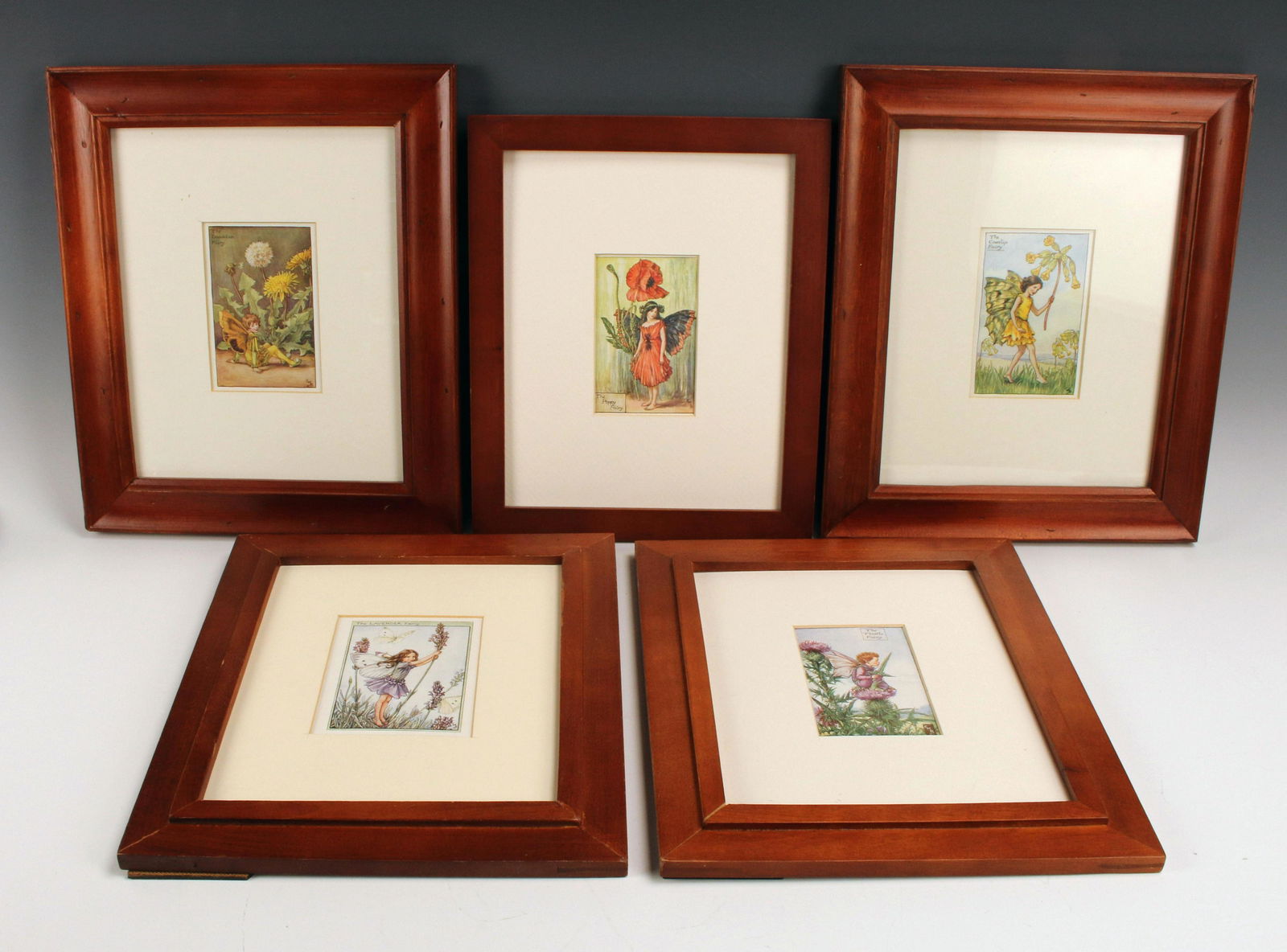 VINTAGE CICELY MARY BARKER FLOWER FAIRY PRINTS (1 of 6)