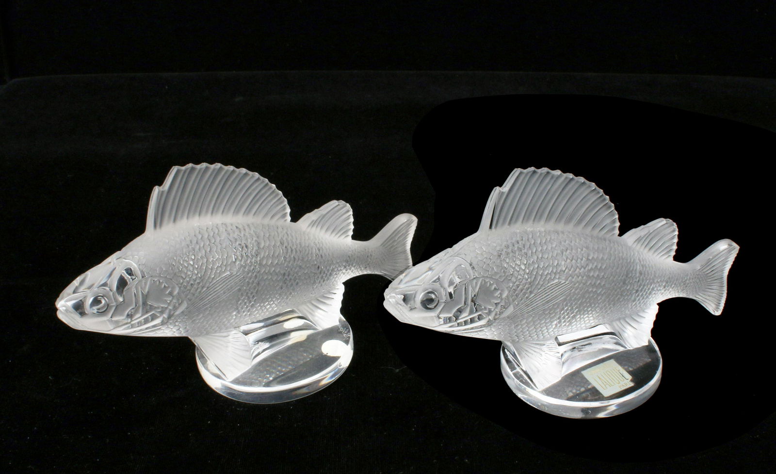 2 LALIQUE PERCHE FROSTED CRYSTAL FISH PAPERWEIGHTS (1 of 7)