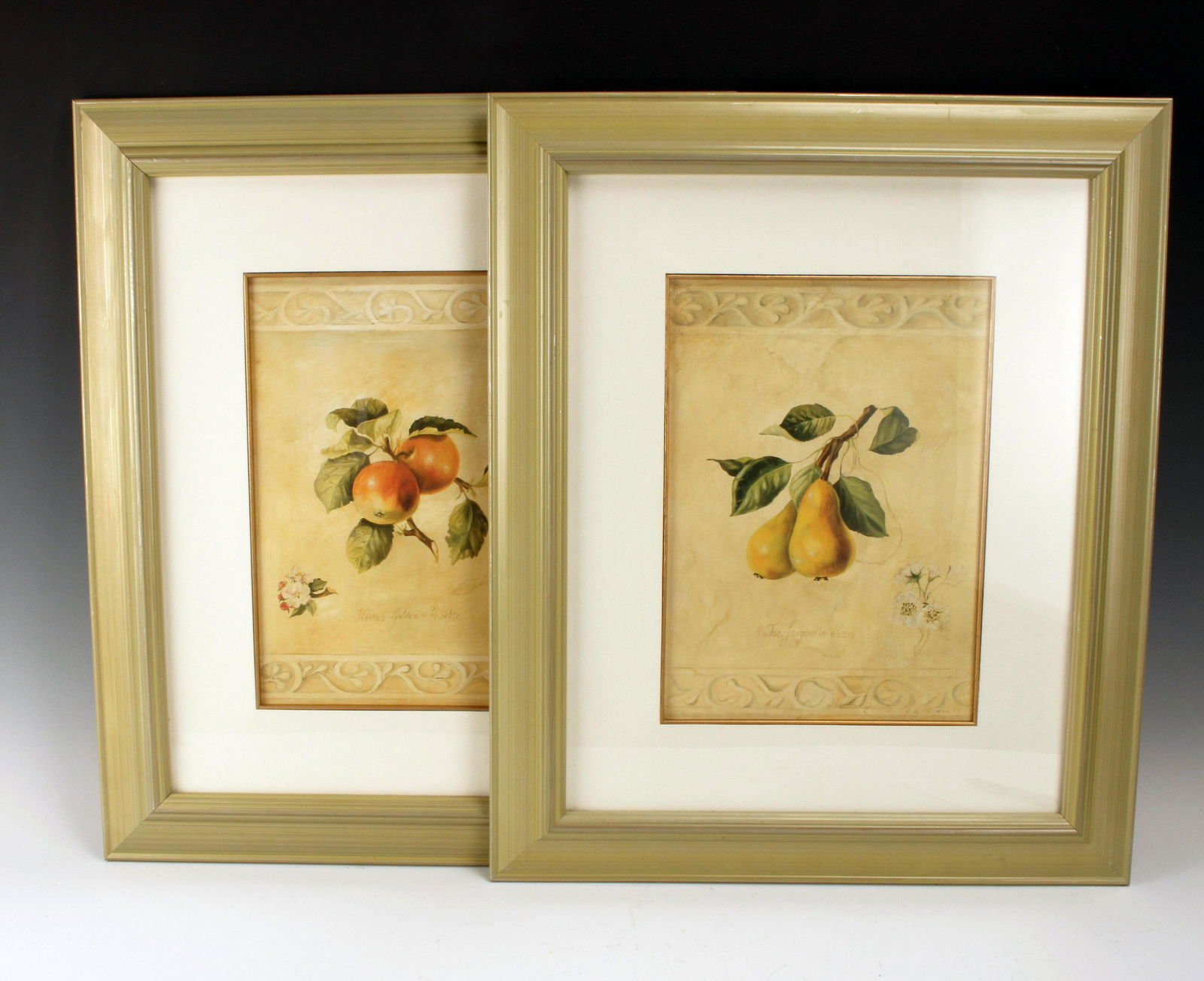 PAIR FRAMED BOTANICAL FRUIT PRINTS (1 of 3)