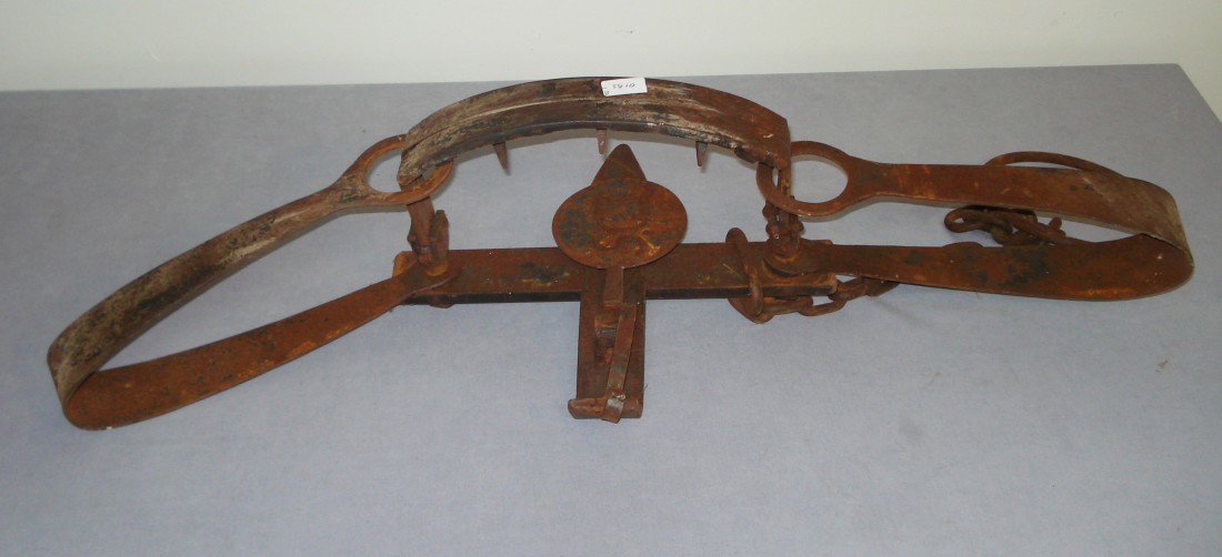 36" Bear Trap: A 36" heavy, massive bear trap with wicked looking teeth mounted on the jaws and complete with original anchor chain.