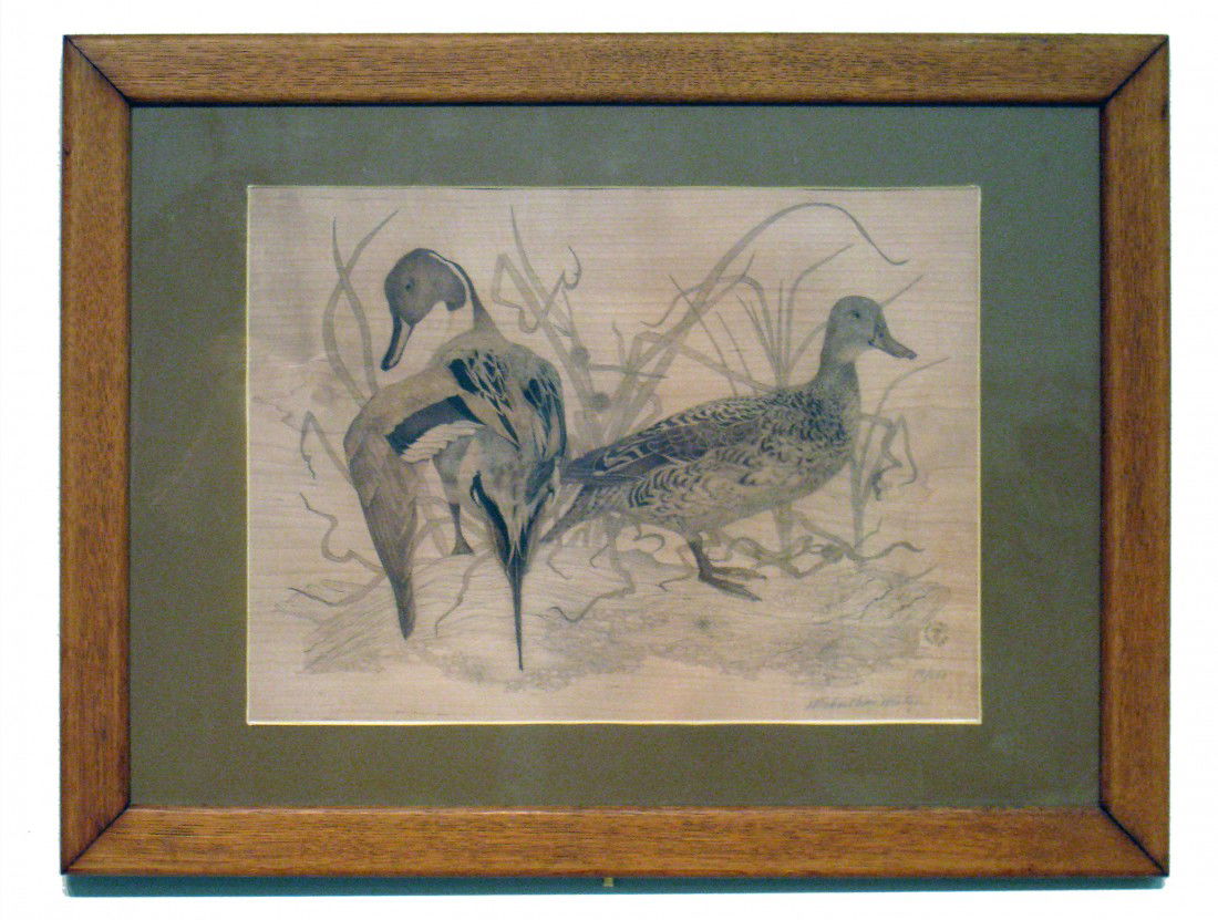 Framed Engraving Of Ducks By M. Mintzer: Signed Michael Wm. Mintzer and numbered 19/650 dated 1986. This beautiful nature print show every feather and expression.