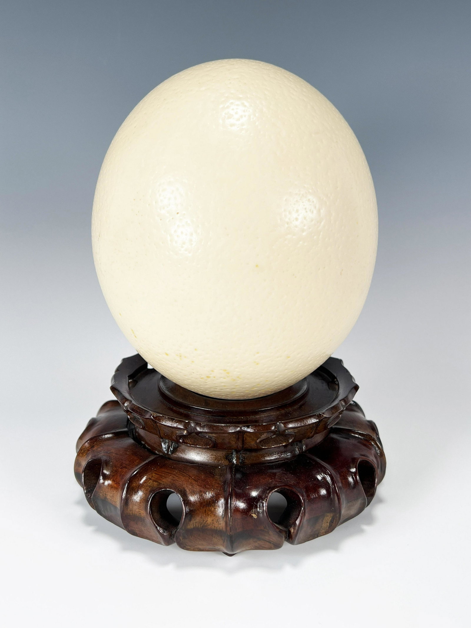 NATURAL OSTRICH EGG ON CHINESE STAND (1 of 4)