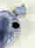 item-136631517=6