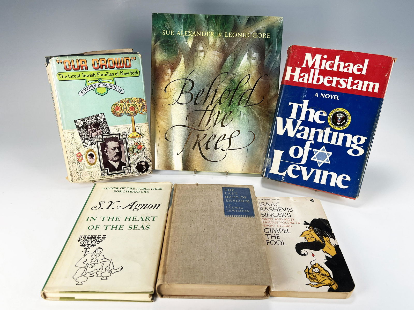 6 JEWISH THEMED NOVELS BOOKS (1 of 12)