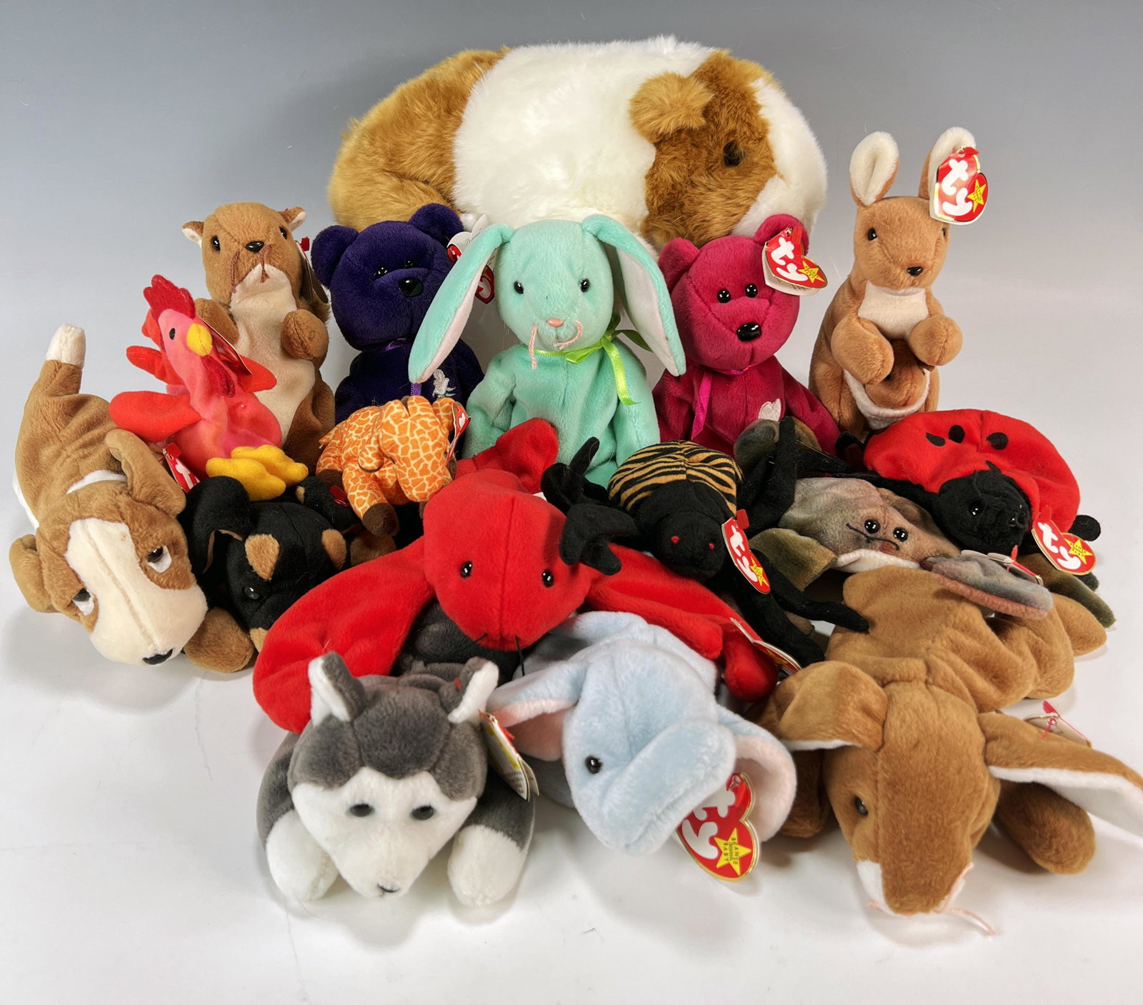 LOT OF BEANIE BABIES & BEANIE BUDDIES: LOT OF BEANIE BABIES & BEANIE BUDDIES