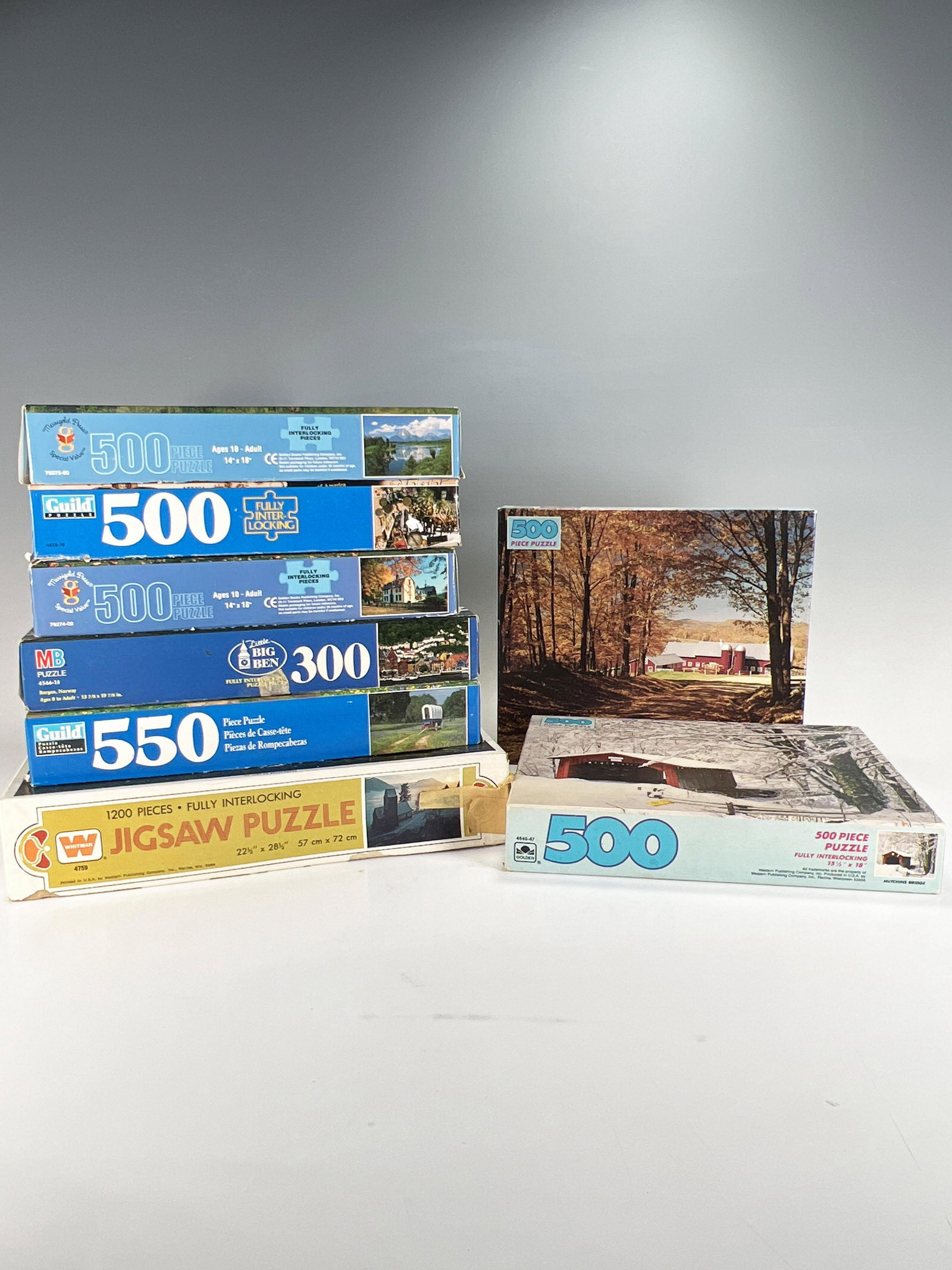 FALL WINTER OUTDOOR PUZZLES: FALL WINTER OUTDOOR PUZZLES <