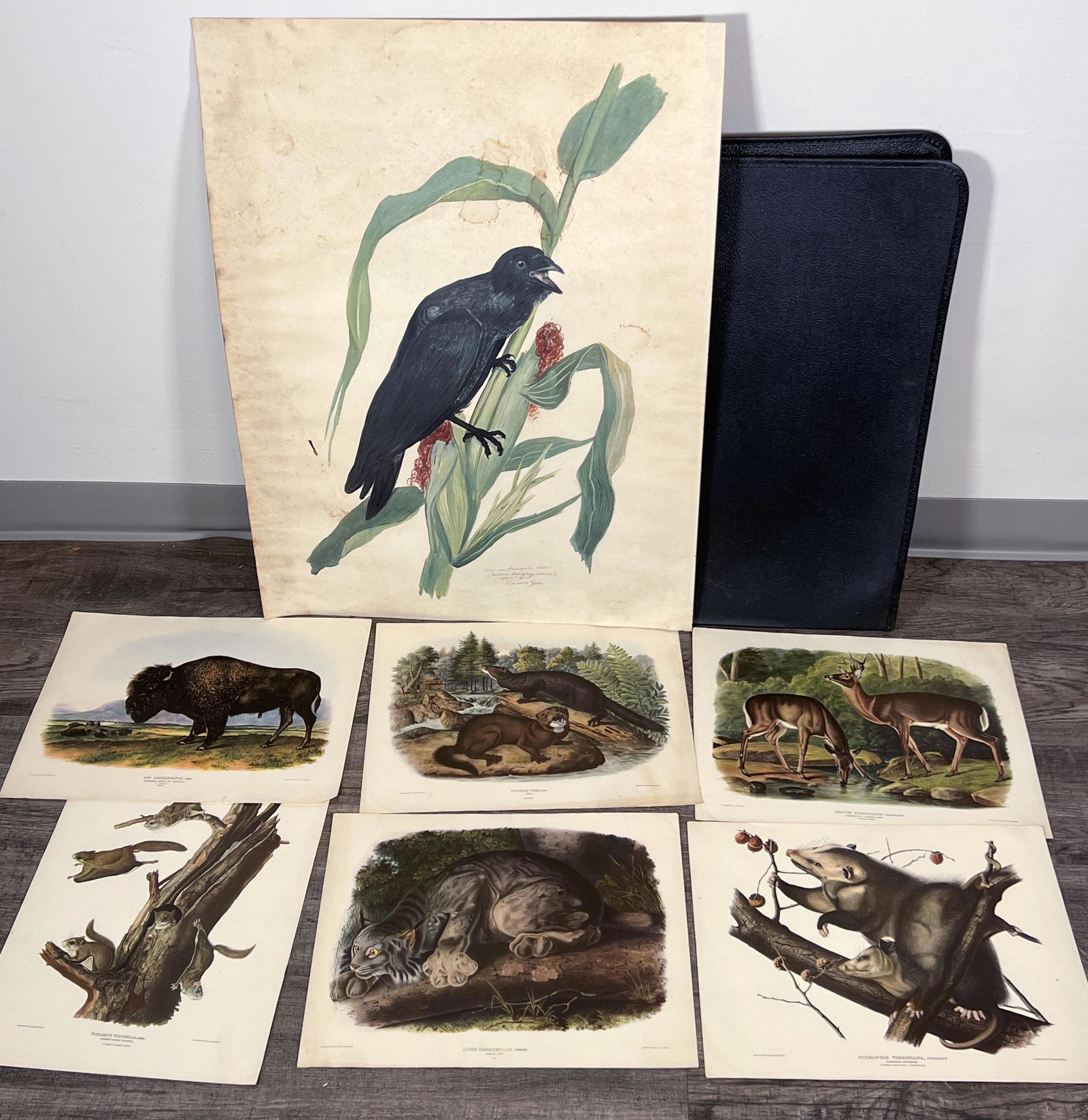 CROW ORNITHOLOGY PRINT AND 6 ANIMAL AUDUBON PRINTS (1 of 3)