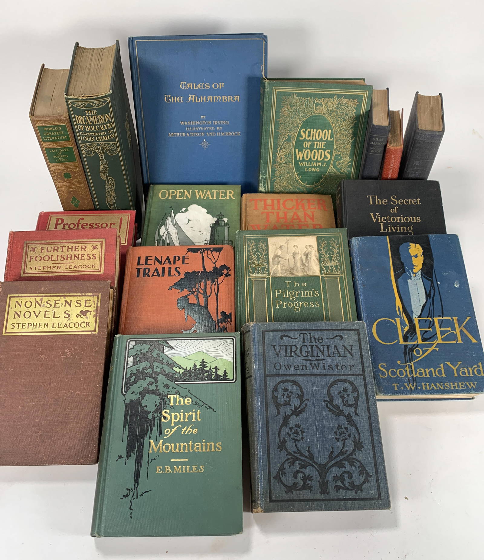 lot-of-novels-1900s-auction