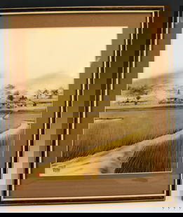 VINTAGE KOREAN LANDSCAPE: VINTAGE KOREAN LANDSCAPE