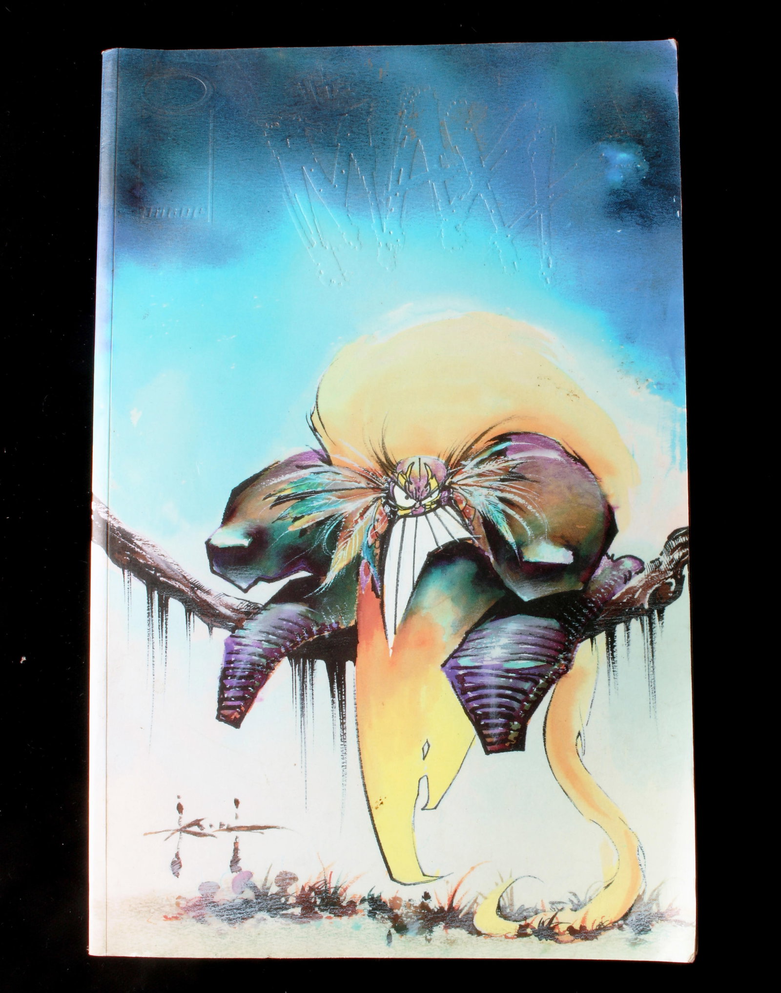 THE MAXX TRADE PAPERBACK