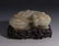 CHINESE JADE SHI LION - 5
