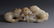 CHINESE CARVED WHITE JADE FOO LIONS