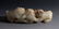 CHINESE CARVED WHITE JADE FOO LIONS - 2