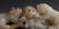 CHINESE CARVED WHITE JADE FOO LIONS - 3