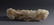 CHINESE CARVED WHITE JADE FOO LIONS - 5