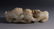 CHINESE CARVED WHITE JADE FOO LIONS - 6