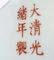 CHINESE GUANGXU "100 BUTTERFLIES" VASE - 7