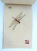 CHINESE QI BAI SHI PAINTING BOOK - 2
