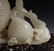 CHINESE WHITE JADE INKWELL ON STAND - 10