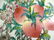 CHINESE PEACHES & BATS CHARGER - 3