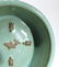 CHINESE CELADON GLAZED BOWL - 3