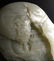 CHINESE WHITE JADE BOULDER - 9