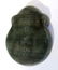 CHINESE INK STONE - 4