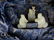 CARVED LAPIS LAZULI AND WHITE JADE TABLE SCREEN - 3