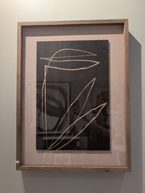 Abstract Botanic Line Drawing by Roseanne Kenny