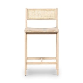 Clarita Counter Stool - White Wash Mango (1 of 11)