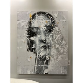 Teng Fei The Bride *: multimedia painting