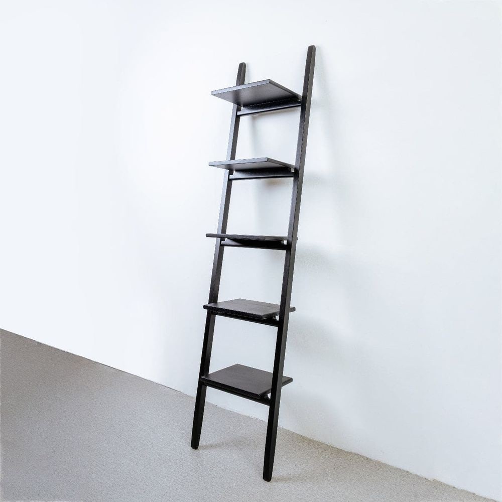 Timofei Leaning Ladder Shelf (1 of 4)