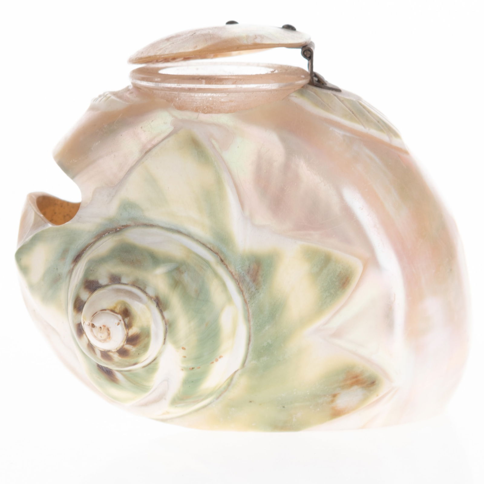 Antique Novelty Hand Carved Mother Of Pearl Turbo Snail Shell Inkwell 19Th Century (1 of 5)