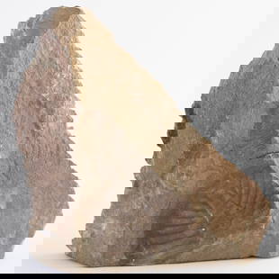 Brachiopod Fossil in Sedimentary Rock ? Paleozoic Era Specimen: 468. Brachiopod Fossil in Sedimentary Rock ? Paleozoic Era Specimen A well-preserved Paleozoic brachiopod fossil nestled in sedimentary rock. A window into ancient marine life. It is the responsibilit
