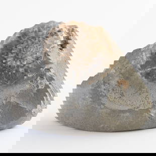 Well-Preserved Ammonite Fossil in Matrix ? Jurassic Marine Relic: 469. Well-Preserved Ammonite Fossil in Matrix ? Jurassic Marine Relic This detailed ammonite is embedded in natural matrix and displays clear spiral ridges. A textbook example of prehistoric marine li