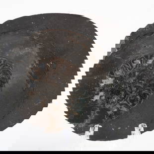 Polished Ammonite Fossil in Dark Shale Matrix: 486. Polished Ammonite Fossil in Dark Shale Matrix This highly polished ammonite sits embedded in dark shale matrix. A museum-worthy fossil centerpiece. It is the responsibility of the Buyer to carefu
