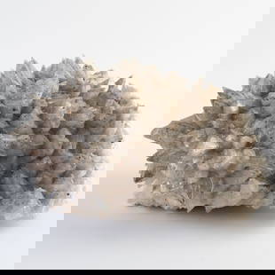 Striking Spiky Quartz Crystal Cluster with Radiant Tips: 492. Striking Spiky Quartz Crystal Cluster with Radiant Tips This bold quartz cluster features sharply terminated points with radiant white sheen. A standout crystal specimen. It is the responsibility