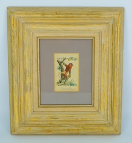 Rare 1800s Hand-Colored Copperplate Engraving Of The Proboscis Monkey By Johann Eberhard Ihle
