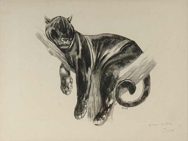 PAUL JOUVE (1878-1973) «Panthère branchée» Original