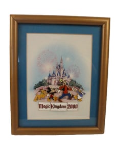 A Limited Edition Magic Kingdom Framed Pin Set.