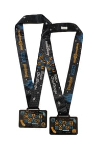 A Pair of 2024 Rectangular runDisney Coast to Coast Medals.
