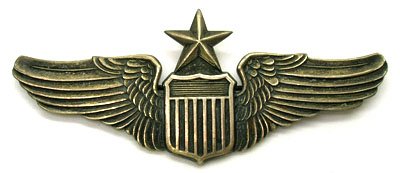 RARE WWII ARMY AIR CORP SENIOR PILOT WING: RARE WWII ARMY AIR CORP SENIOR PILOT WING * WING IS APROX. 3 1/8 " WIDE * MARKED LGB STERLING * PIN BACK * GREAT PATINA *