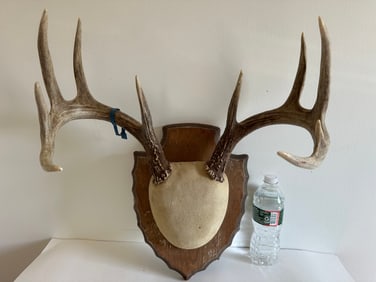 Simulated material deer antlers